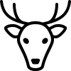 Venado